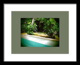 Poolside Oasis - Framed Print